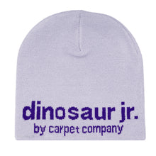Load image into Gallery viewer, Carpet x Dinosaur Jr. "Cool Guy"  Beanie // Grey
