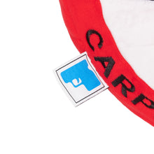 Load image into Gallery viewer, Carpet "No Smoking" Pillow
