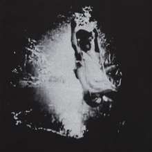 Load image into Gallery viewer, Limosine &quot;Crick&quot; Tee // Black
